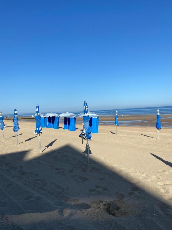 Oiseau Bleu Proche De La Et De Deauville * Blonville-sur-Mer